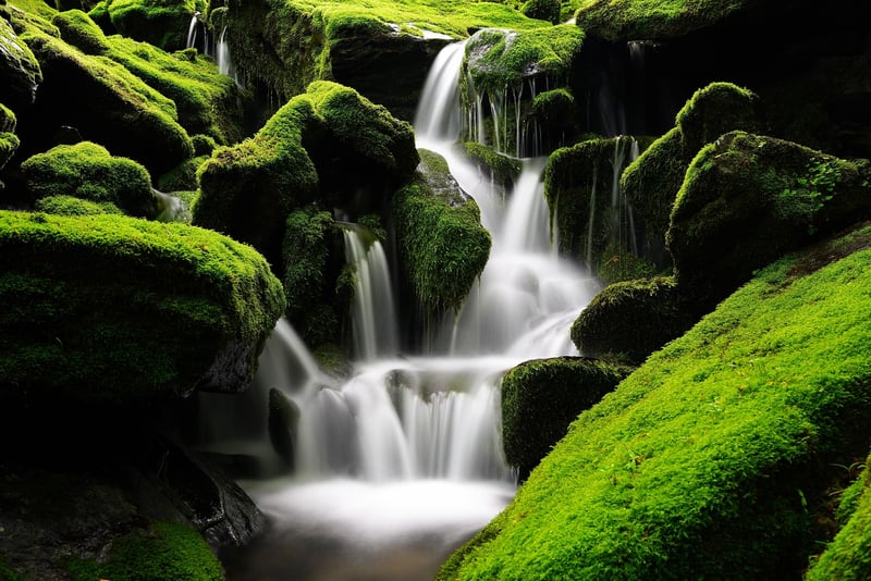 Mystical Waterfalls